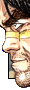 Quinlan Vos